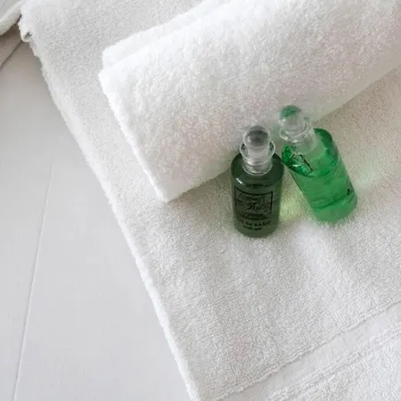 Berlin - Basquenjoy * 宏达瑞比亚